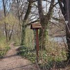 Wittmann park Mosonmagyaróvár - Egyéb