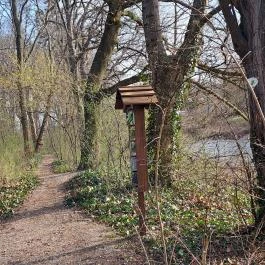 Wittmann park, Mosonmagyaróvár - Egyéb