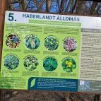 Wittmann park Mosonmagyaróvár - Egyéb