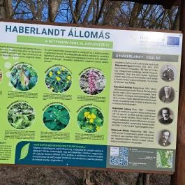 Wittmann park, Mosonmagyaróvár - Egyéb