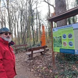 Wittmann park, Mosonmagyaróvár - Egyéb