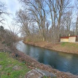 Wittmann park, Mosonmagyaróvár - Egyéb