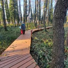 Zalakaros Termáltó & Ökopart Zalakaros - Egyéb