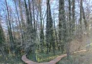 Zalakaros Termáltó & Ökopart Zalakaros