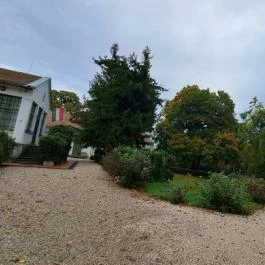 Zichy Mihály Emlékmúzeum Zala - Egyéb