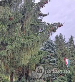 Zichy Mihály Emlékmúzeum