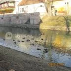 Aranykereszt Hotel Gyula - Környék