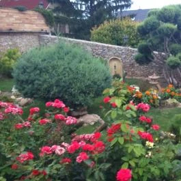 Szent Orbán Kisvendéglő, Velence - Egyéb