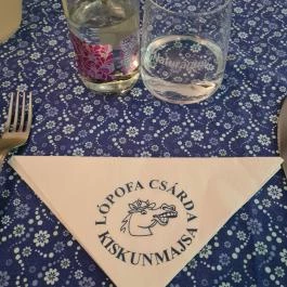 Lópofa Csárda Kiskunmajsa - Egyéb