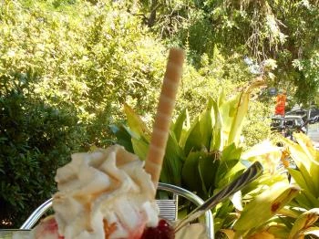 Kárpáti Fagyizó & Gofrizó Balatonföldvár