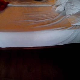 Puchner Kastélyszálló, Bikal - Belső