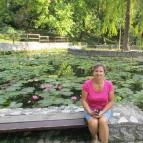 Calimbra Konferencia & Wellness Hotel Miskolctapolca - Környék