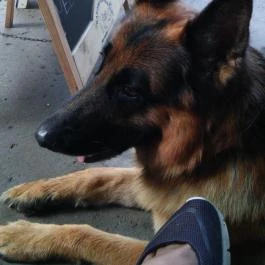 Lapos Büfé Falatozó Lillafüred - Egyéb