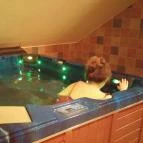 Nelson Hotel Hajdúszoboszló - Wellness