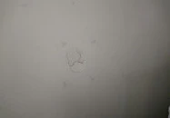 Két Lotti Villa Panzió Veszprém