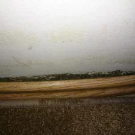 Két Lotti Villa Panzió Veszprém - Egyéb