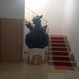 Két Korona Konferencia & Wellness Hotel, Balatonszárszó - Belső