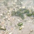 Castrum Üdülőfalu Balatongyörök - Egyéb