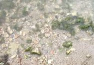  Castrum Üdülőfalu Balatongyörök