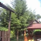 Lili-Bence Nyaraló Agárd - Környék