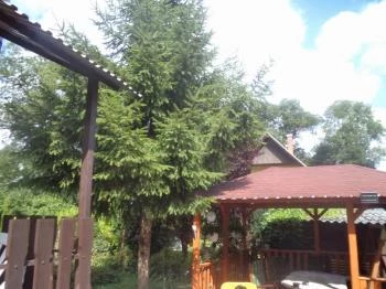 Lili-Bence Nyaraló Agárd