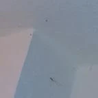 Hotel Fortuna Zalakaros - Egyéb