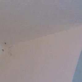 Hotel Fortuna Zalakaros - Egyéb