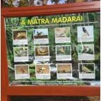 Feketerigó Étterem Mátrafüred - Egyéb