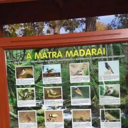 Feketerigó Étterem Mátrafüred - Egyéb