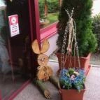 Hotel Lövér Sopron - Egyéb