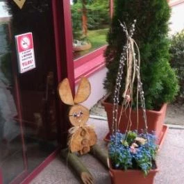 Hotel Lövér Sopron - Egyéb