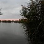 Tó Party Panoráma Panzió Kiszombor - Környék