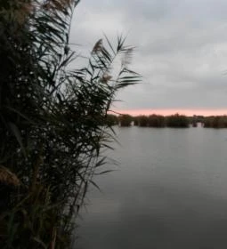 Tó Party Panoráma Panzió 