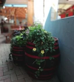 István Grill & Fagylaltkert