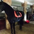 Hotel Kapitány Superior Wellness Sümeg - Környék