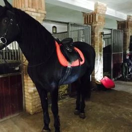 Hotel Kapitány Superior Wellness Sümeg - Környék