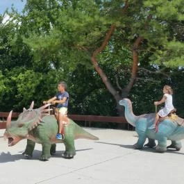 Dínó- és Kalandpark Rezi, Rezi - 