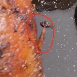 Trófea Grill Étterem - Zugló Budapest - Étel/ital