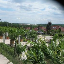 Egri Korona Borház & Wellness Hotel, Demjén - Környék