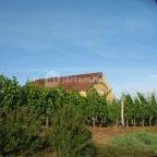 Egri Korona Borház & Wellness Hotel Demjén - Külső kép