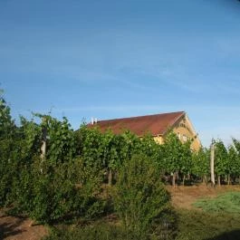 Egri Korona Borház & Wellness Hotel, Demjén - Külső kép