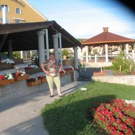 Egri Korona Borház & Wellness Hotel, Demjén - Medence/kert