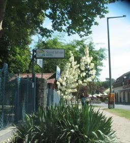 Szent István Hotel Balatonlelle