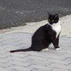 Grante Hotel Esztergom - Környék