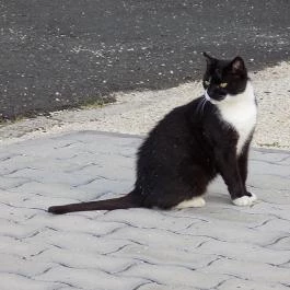 Grante Hotel Esztergom - Környék