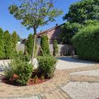 Royal Apartment Kecskemét Kecskemét - Egyéb