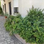 Royal Apartment Kecskemét Kecskemét - Egyéb