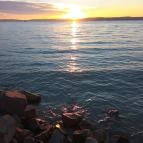 Holiday Resorts Balatonszárszó - Egyéb