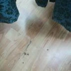 Park Hotel Miskolctapolca - Egyéb