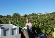 Kovács Kocsma Fertőrákos